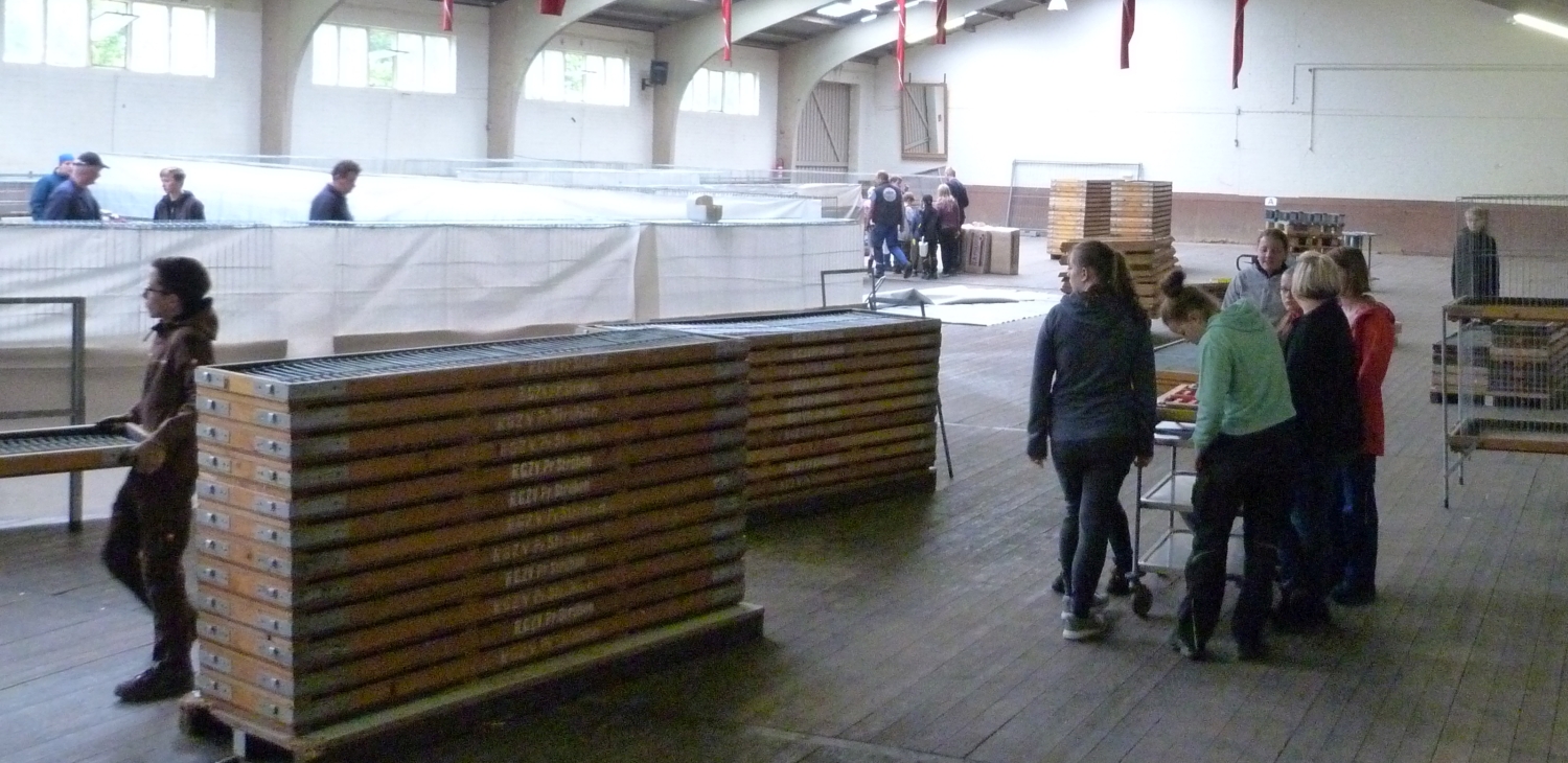 P1020561.JPG