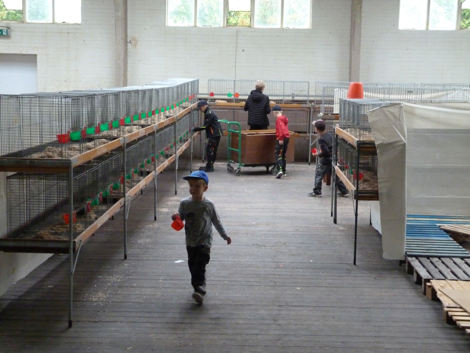 P1020605.JPG