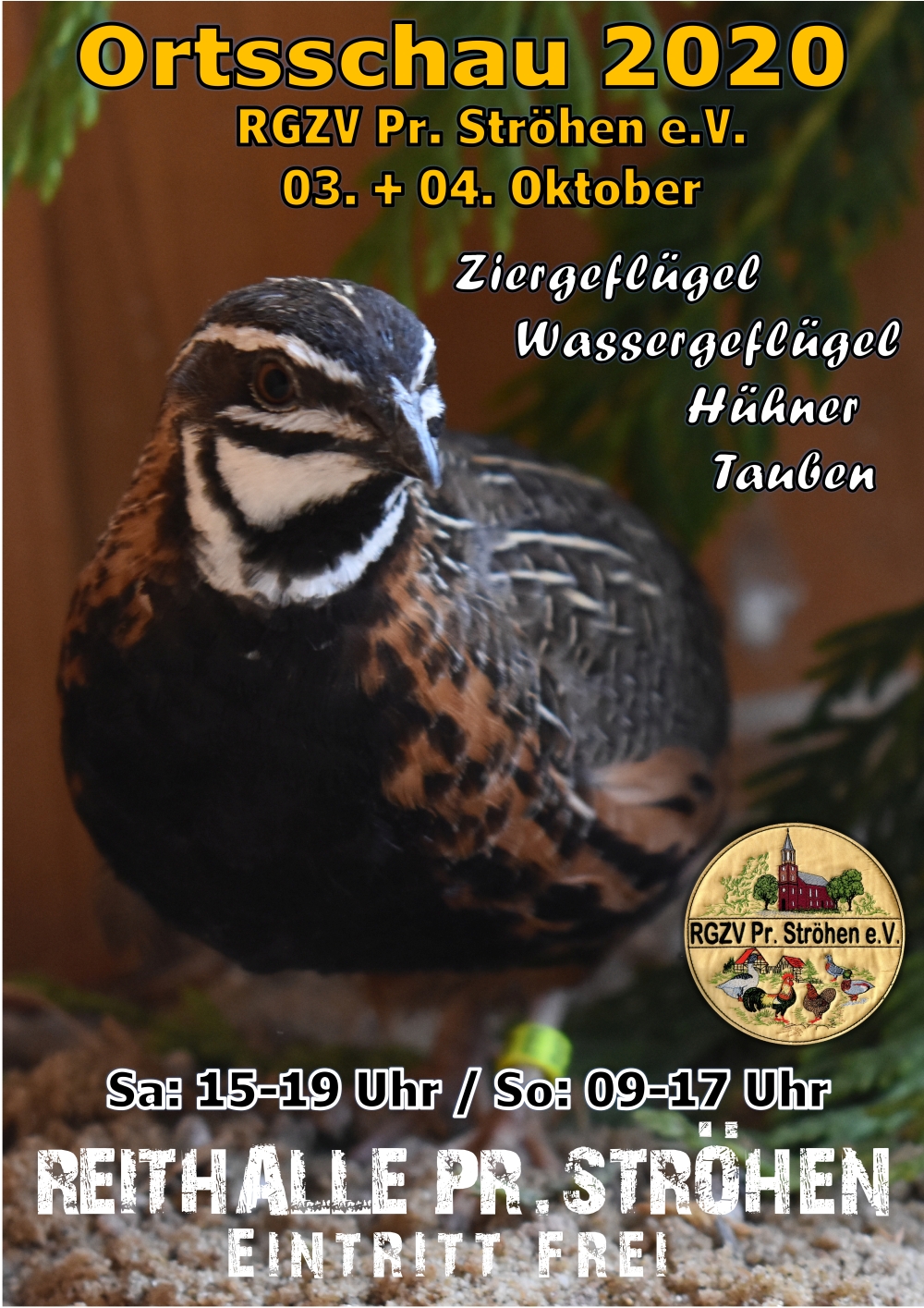 Ortsschau 2020