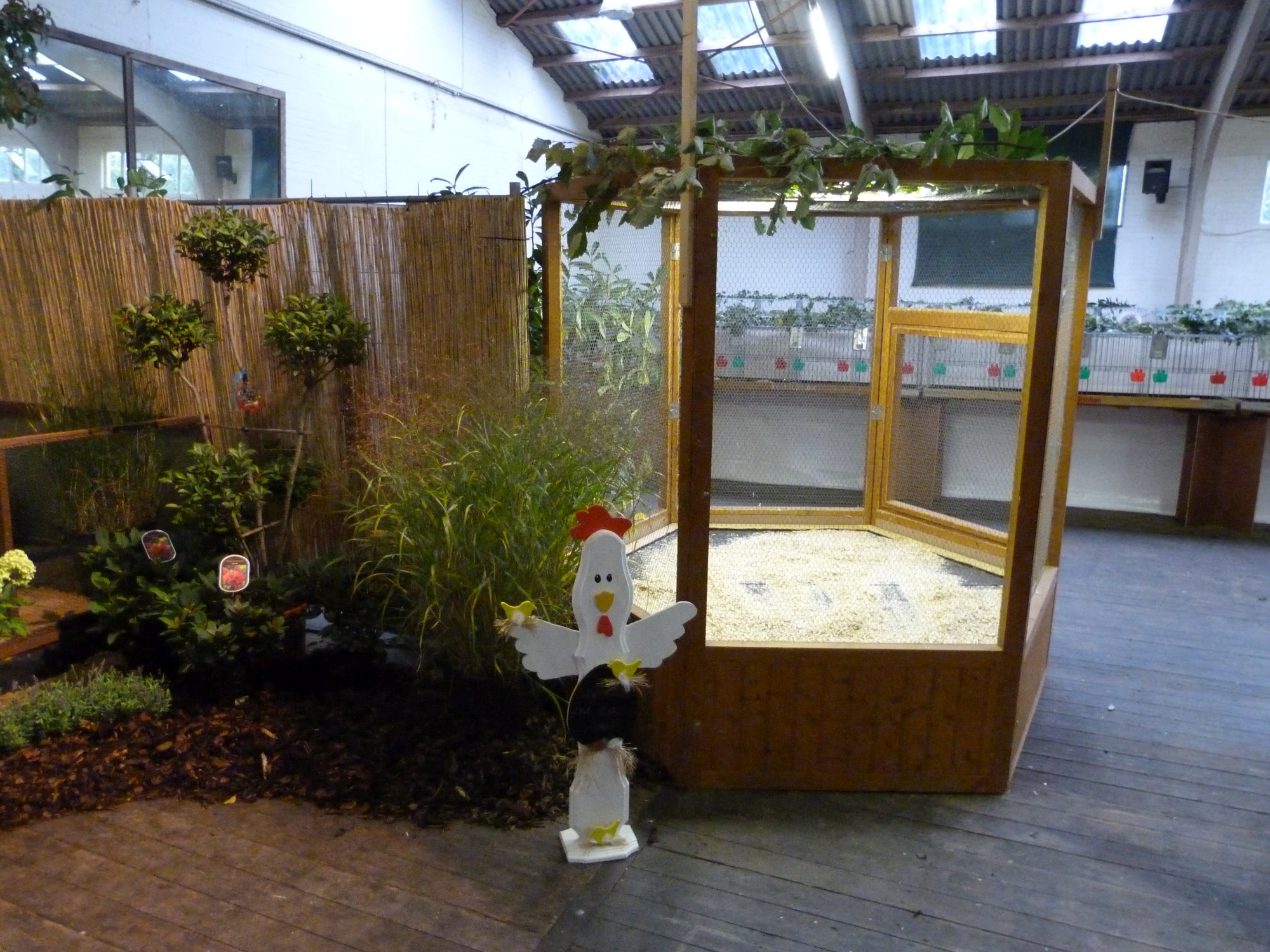 P1000941.JPG