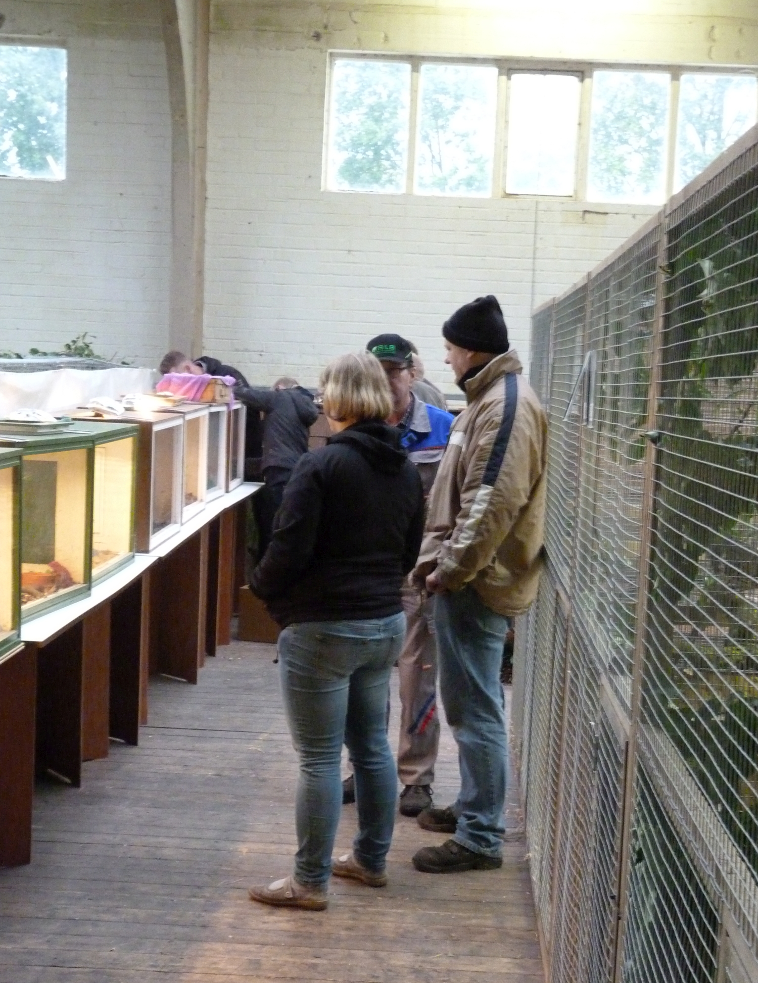 P1000969.JPG