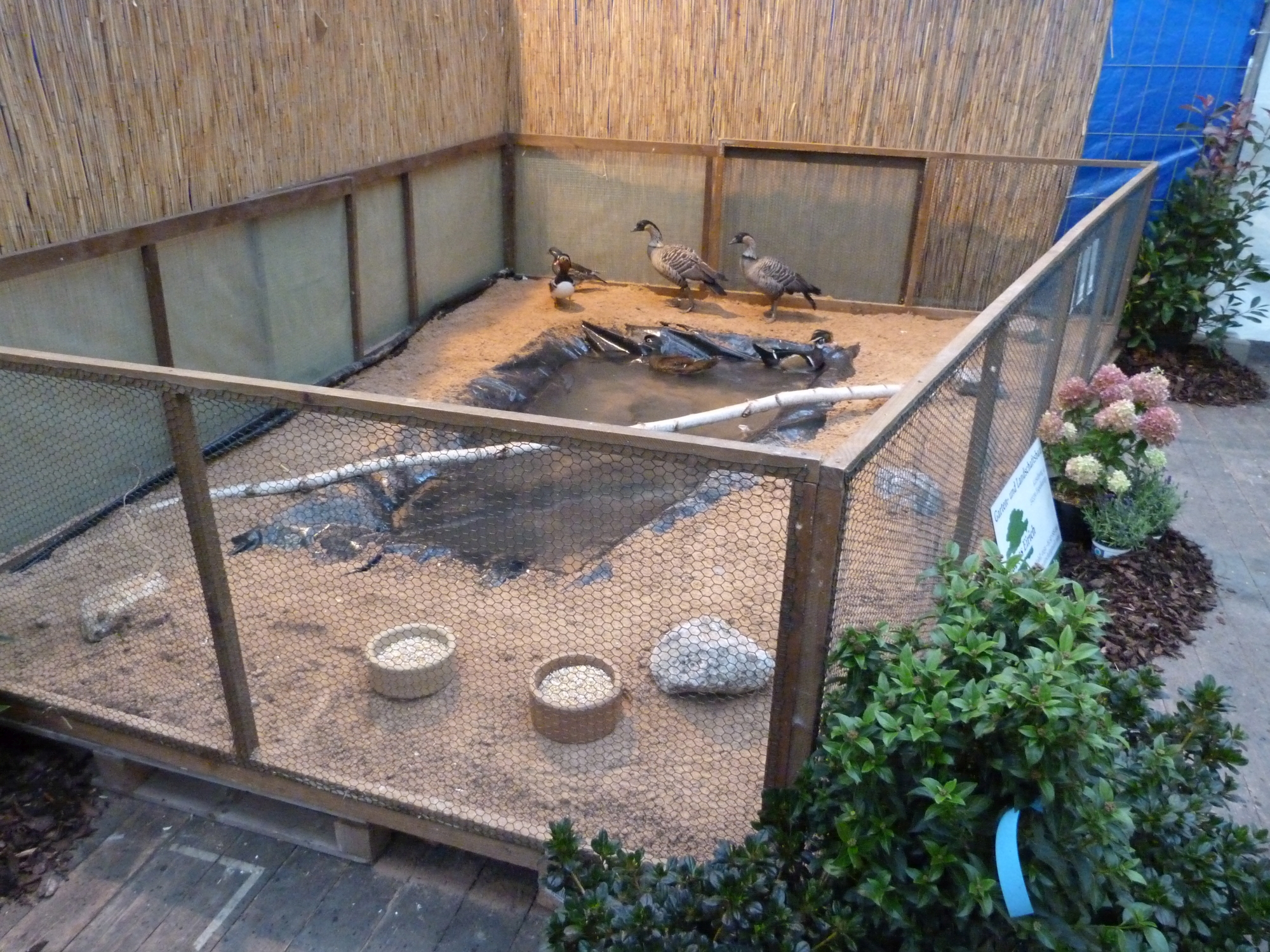 P1010001.JPG