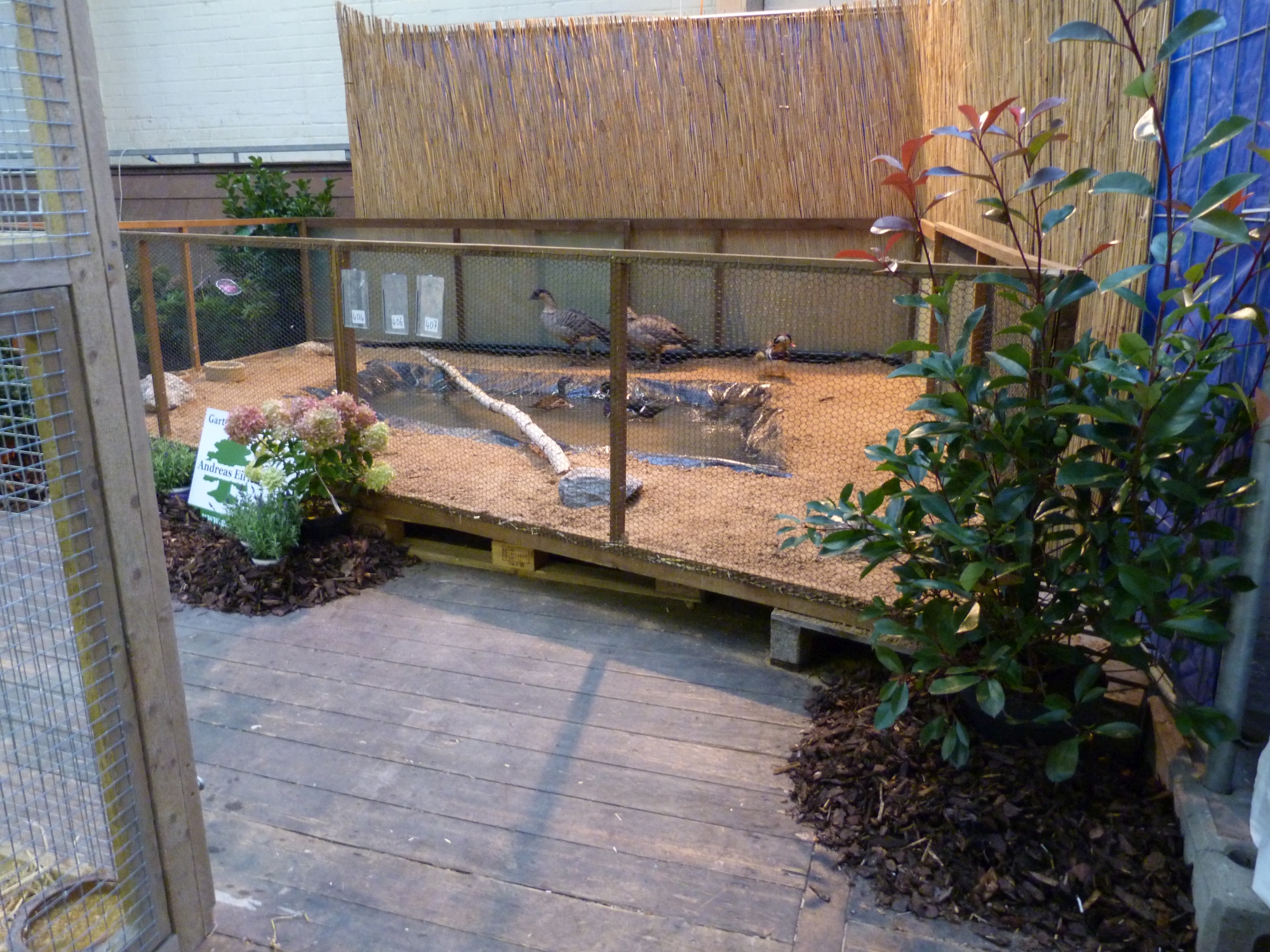 P1010013.JPG