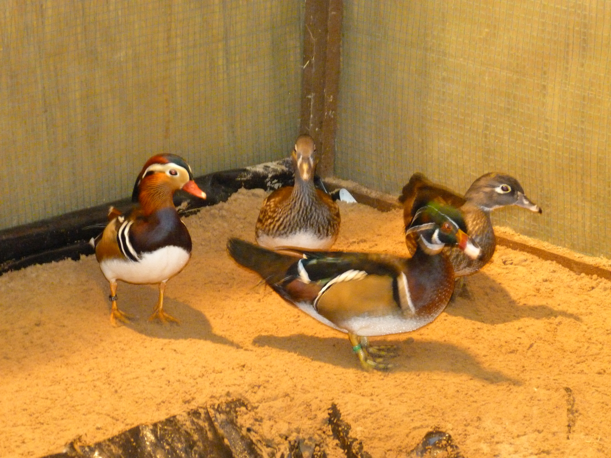 P1010039.JPG