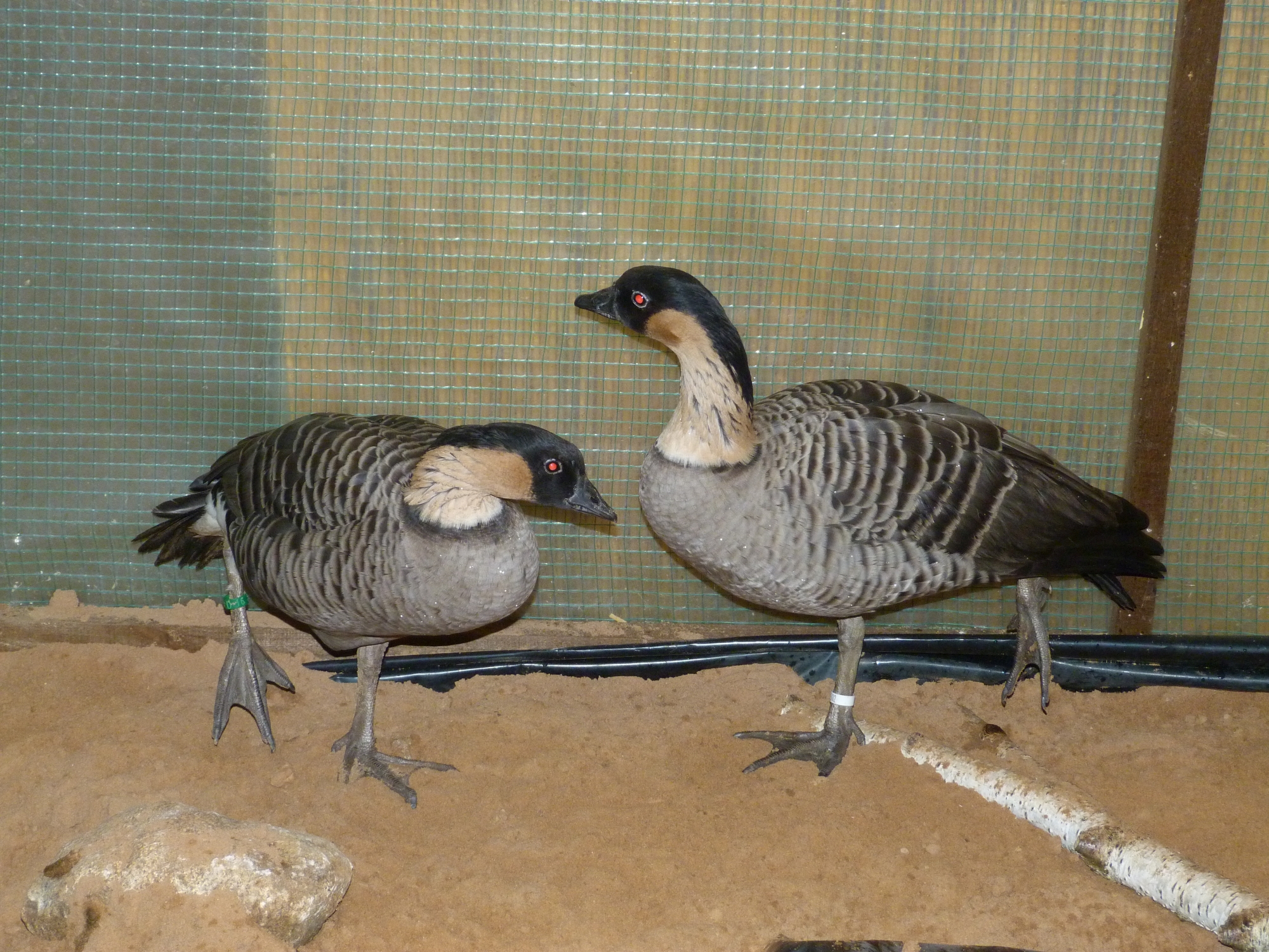 P1010040.JPG