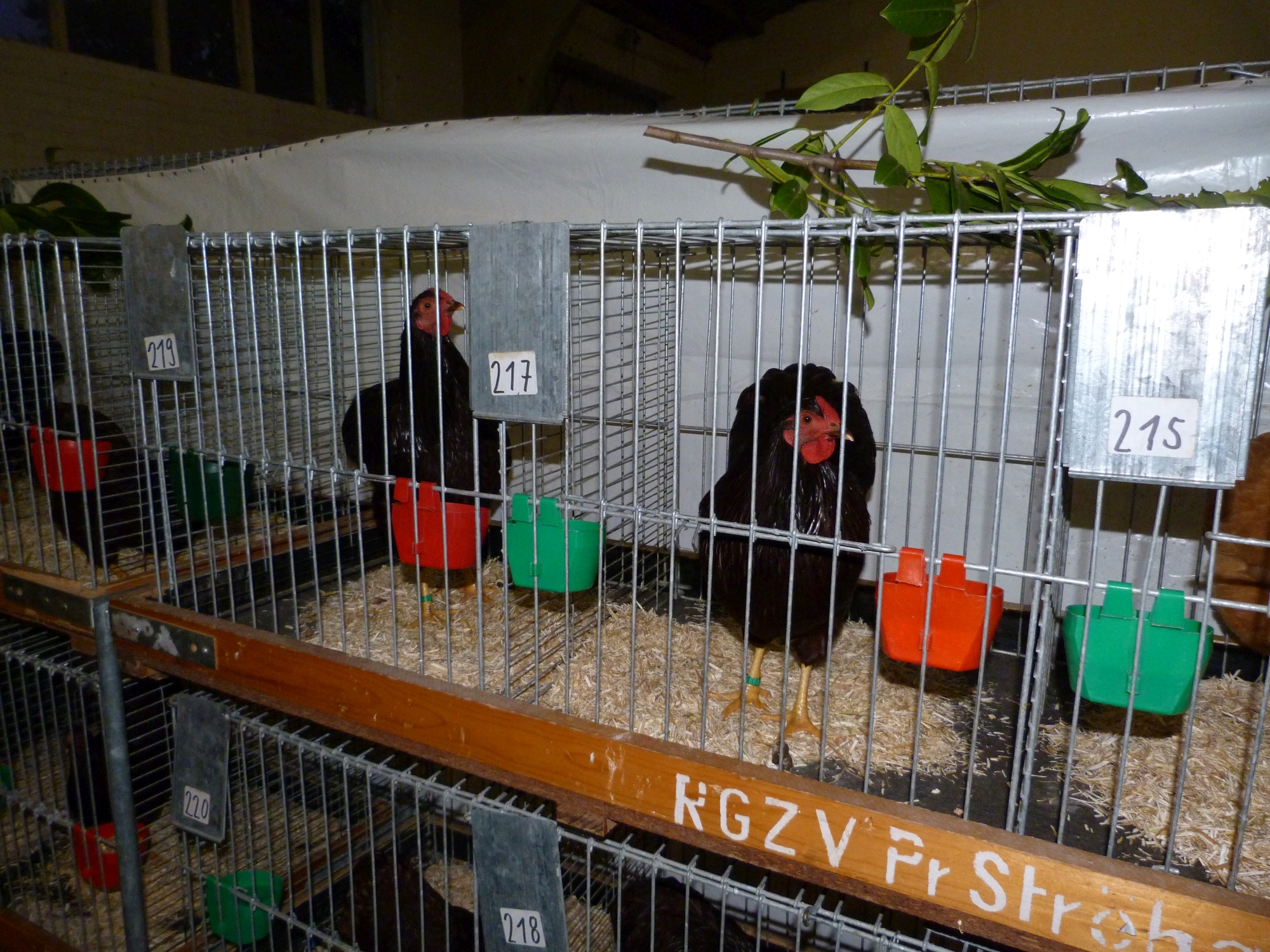 P1010056.JPG