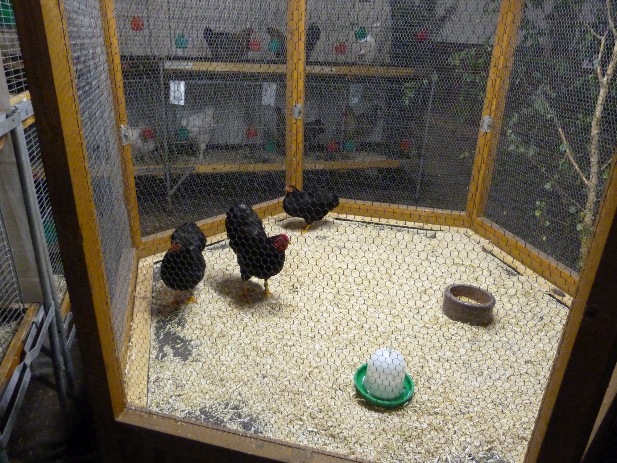 P1010059.JPG