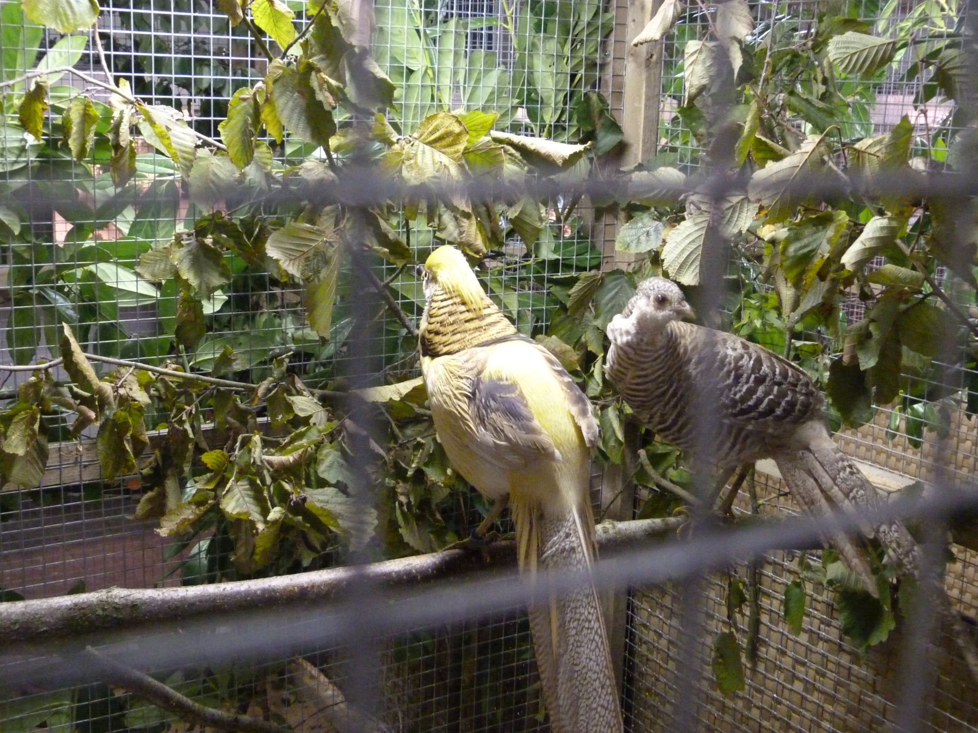 P1010063.JPG