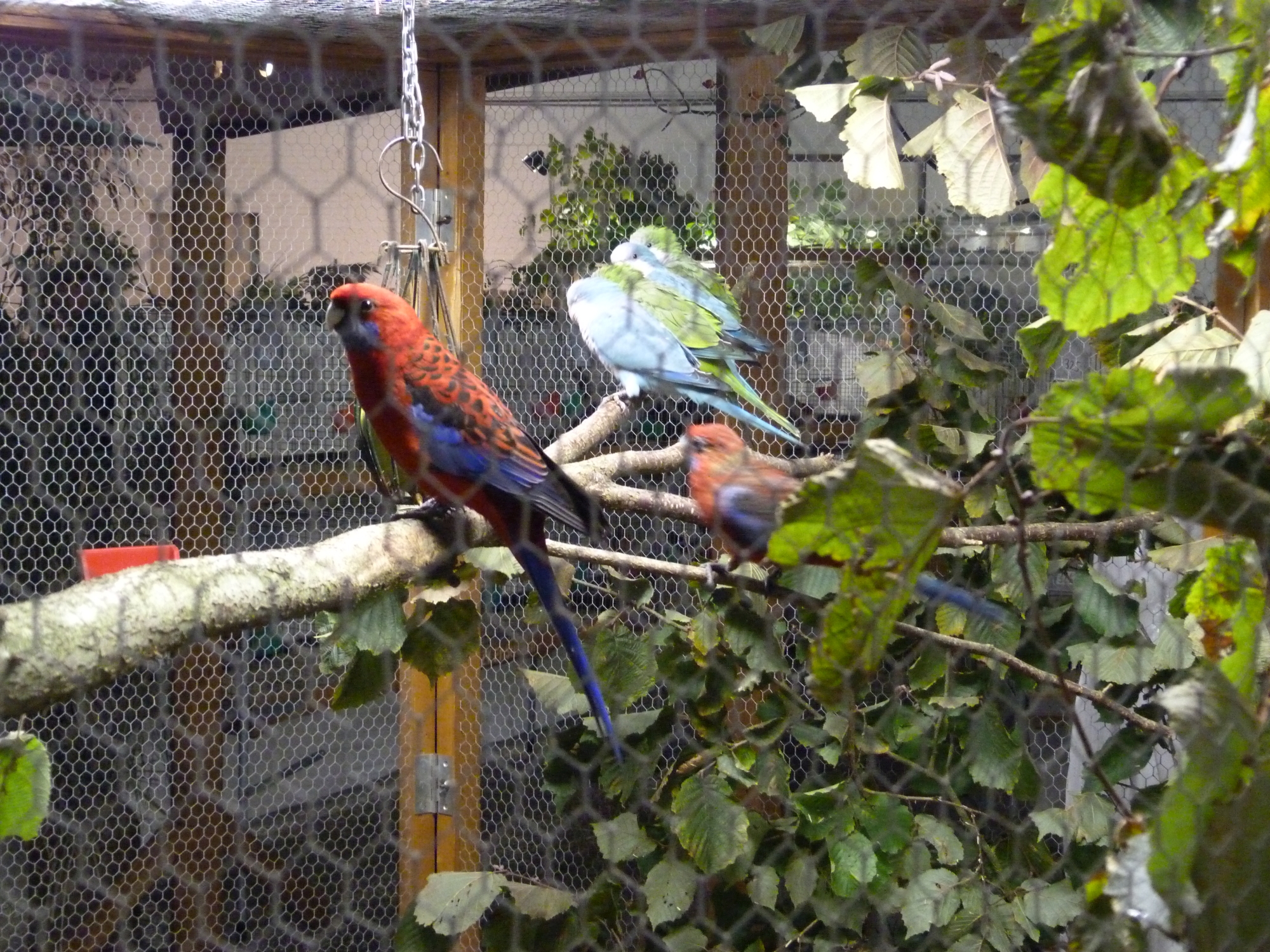 P1010073.JPG