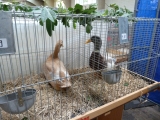 P1000921.JPG