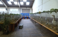 P1000974.JPG