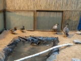 P1000999.JPG