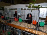 P1010056.JPG
