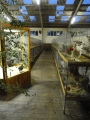 P1010060.JPG