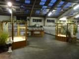 P1010067.JPG