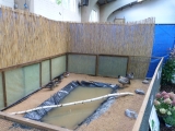 P1010136.JPG