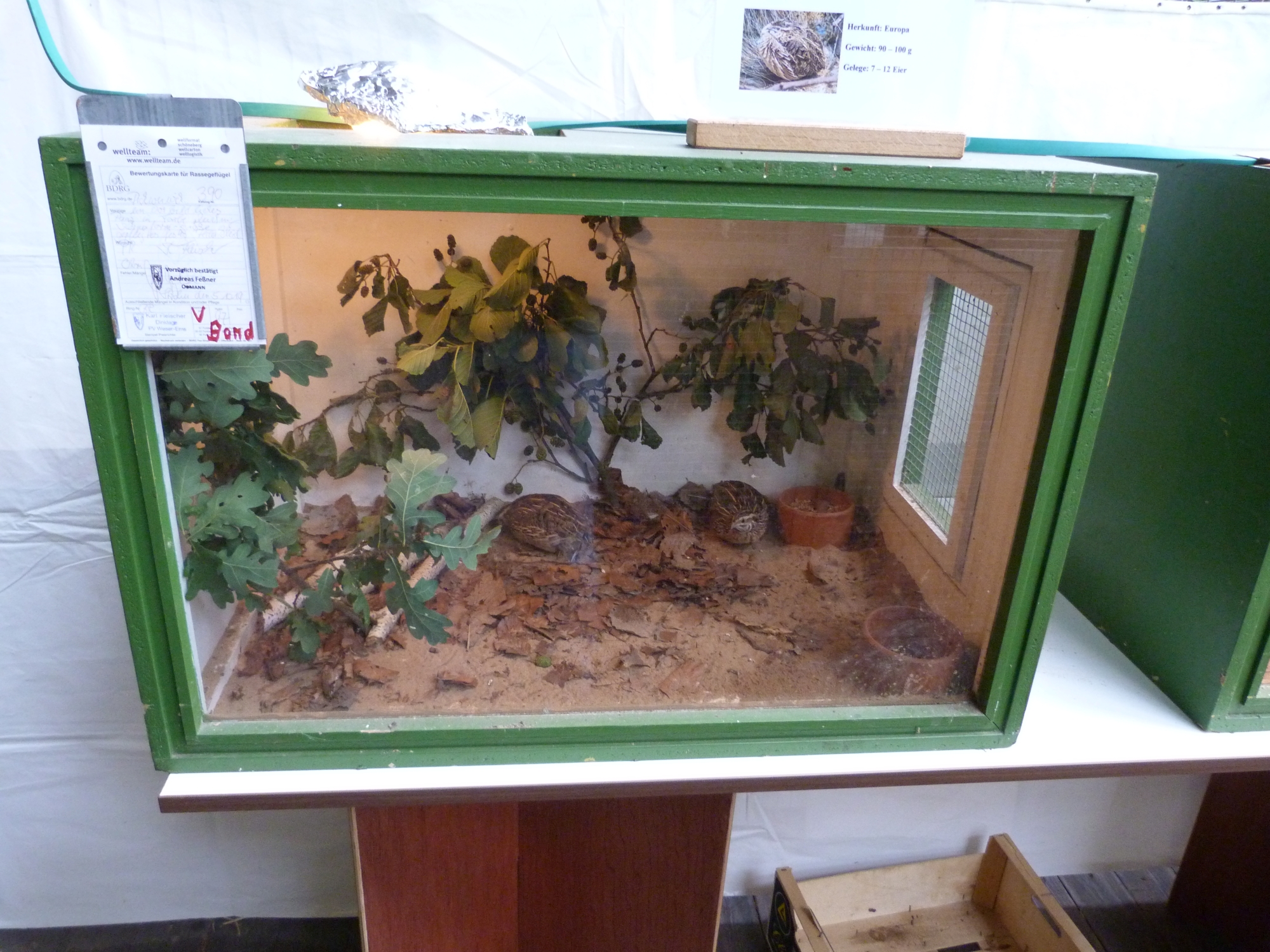 P1010232.JPG