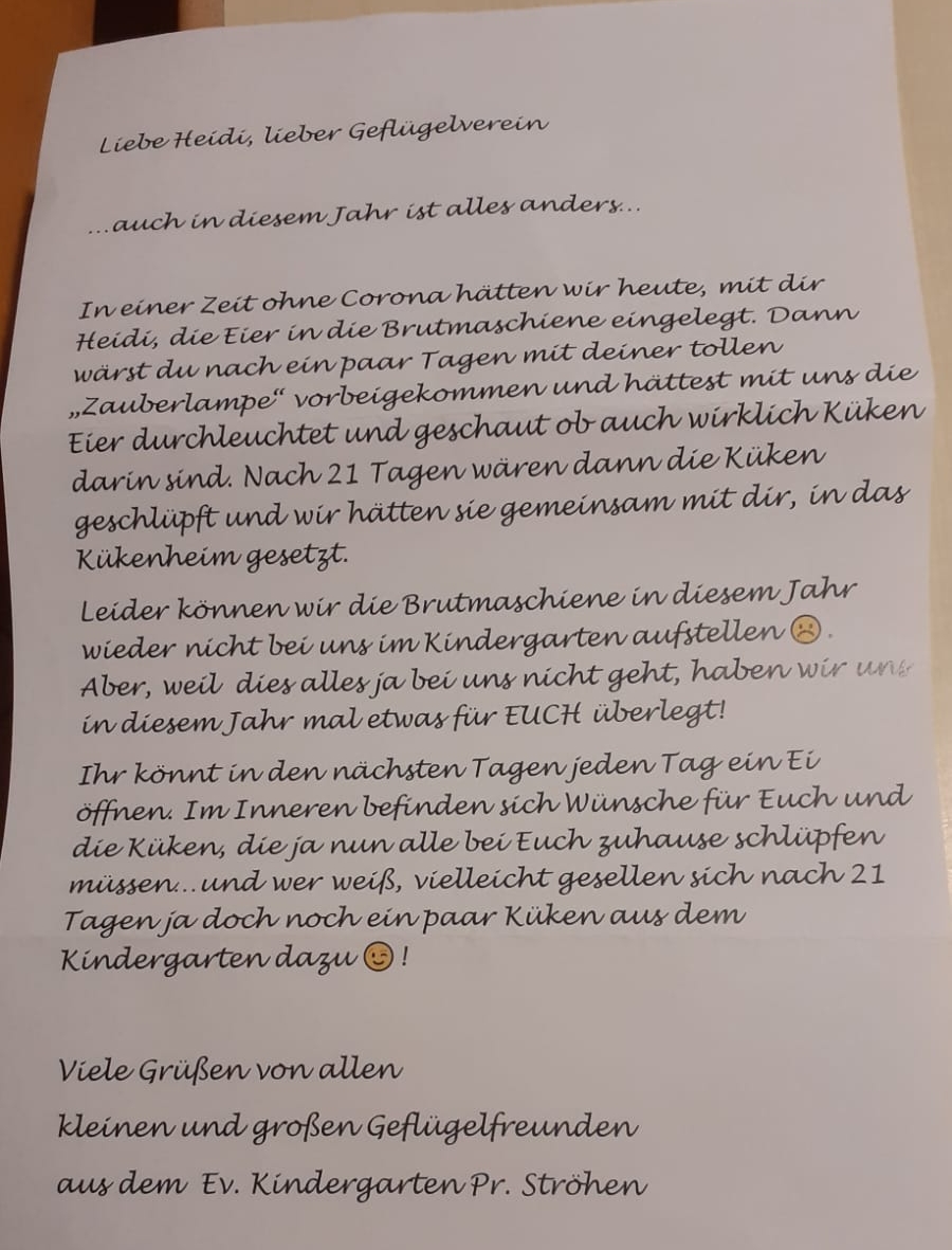 Brief
